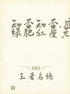 知否知否,应是绿肥红瘦免费观看