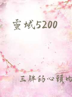 灵域5200