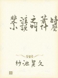 裴淮之萧时卿的小说叫什么