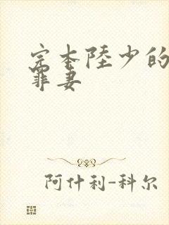 完本陆少的隐婚罪妻