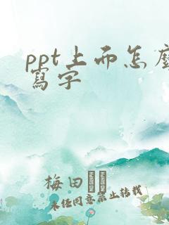 ppt上面怎么写字