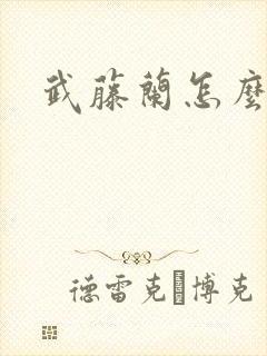 武藤兰怎么死的