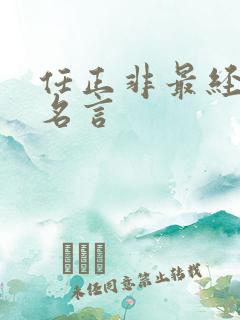 任正非最经典的名言