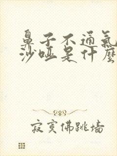 鼻子不通气声音沙哑是什么情况