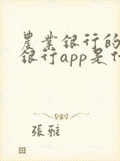 农业银行的手机银行app是什么