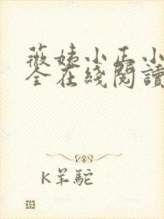 薇姨小正小说大全在线阅读