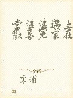 当婆婆遇上妈之欢喜冤家在线观看