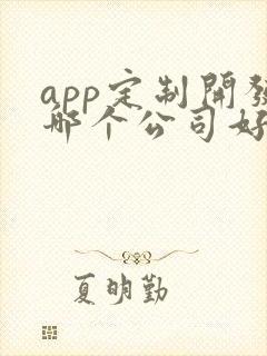 app定制开发哪个公司好