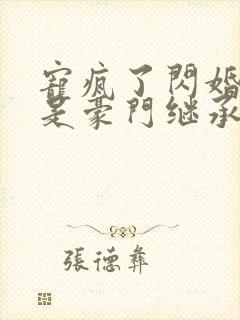 宠疯了闪婚老公是豪门继承人