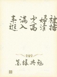 丰满少妇被猛烈进入高清播放小说