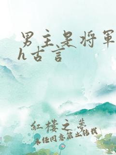男主是将军的高h古言