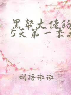 黑帮大佬的365天第一季无删减