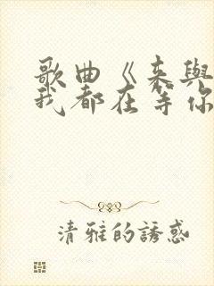 歌曲《来与不来我都在等你》