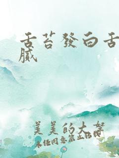 舌苔发白舌根厚腻