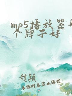 mp5播放器哪个牌子好