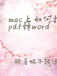 mac上如何把pdf转word