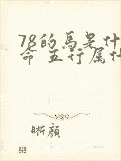 78的马是什么命 五行属什么