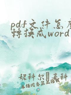 pdf文件怎么转换成word文档