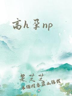 高h孕np