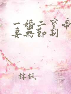 一婚二宝帝少宠妻无节制