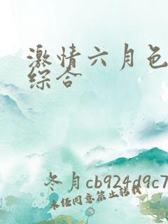 激情六月色婷婷综合