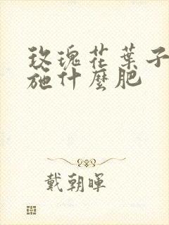 玫瑰花叶子发黄施什么肥