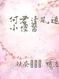 何君清风远风流小傻医