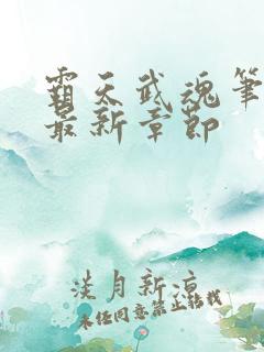 霸天武魂笔趣阁最新章节