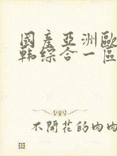 国产亚洲欧美日韩综合一区