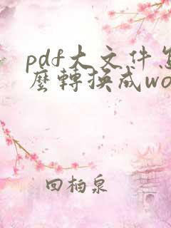 pdf大文件怎么转换成word