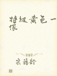 特级黄色一级录像