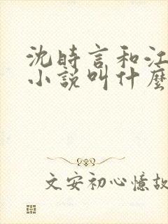 沈时言和江雁的小说叫什么名字