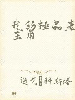 我的极品老婆女主角