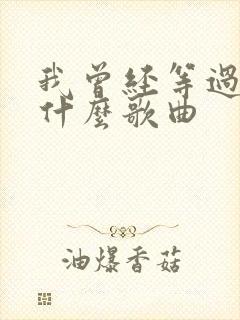 我曾经等过你是什么歌曲