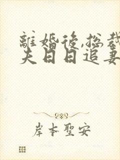 离婚后,总裁前夫日日追妻