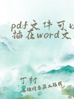 pdf文件可以插在word文档里面吗