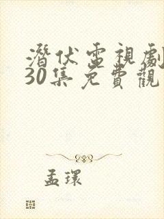 潜伏电视剧全集30集免费观看