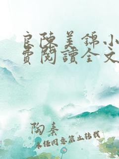 良陈美锦小说免费阅读全文无窗口