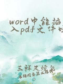 word中能插入pdf文件吗