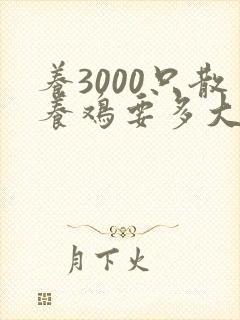 养3000只散养鸡要多大地方