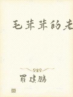 毛茸茸的老太