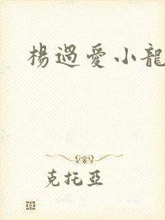杨过爱小龙女吧