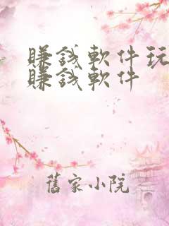 赚钱软件玩游戏赚钱软件