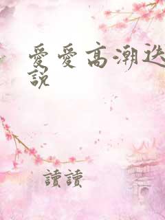 爱爱高潮迭起小说