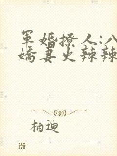 军婚撩人:八零娇妻火辣辣