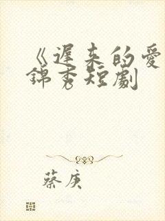 《迟来的爱》江锦秀短剧