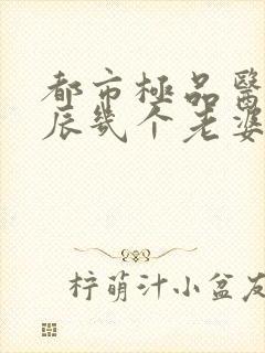 都市极品医神叶辰几个老婆