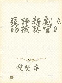 张译新剧《九部的检察官》在线观看