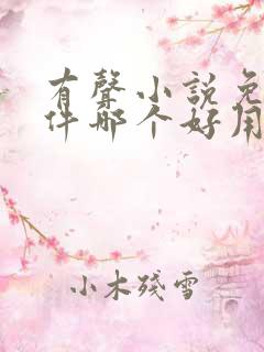 有声小说免费软件哪个好用