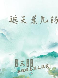 遮天叶凡的后宫